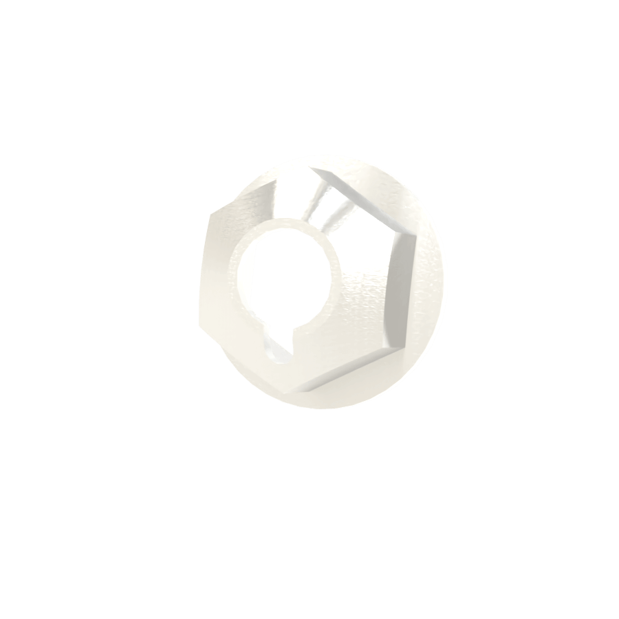 Penco Palnut - Image 2